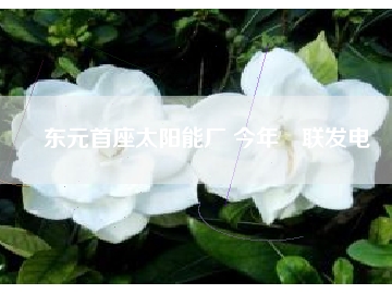 東元首座太陽(yáng)能廠 今年併聯(lián)發(fā)電