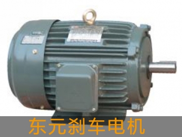 東元?jiǎng)x車(chē)電機(jī)