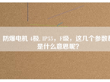 防爆電機 4極, IP55，F(xiàn)級，這幾個參數(shù)都是什么意思呢？