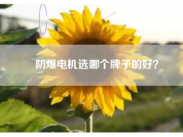 防爆電機選哪個牌子的好？