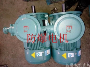 防爆電機(jī)分類：防爆電機(jī)選型、參數(shù)、定義