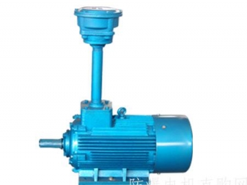 石油化工行業(yè)為什么一定要使用防爆電機