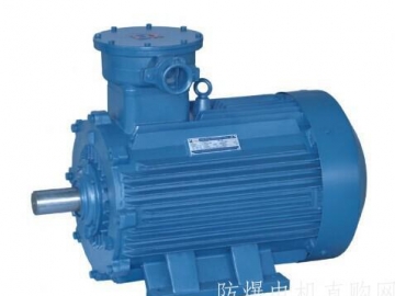 防爆電機(jī)的密封結(jié)構(gòu)在安裝使用中要注意哪些？