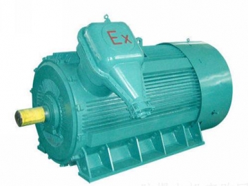 防爆電機如何出現(xiàn)掃膛、振動、軸承過熱要怎么處理