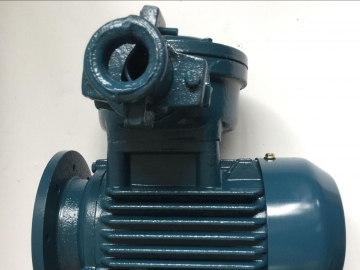 防爆電機使用的滑動軸承在安裝調試時要注意些什么