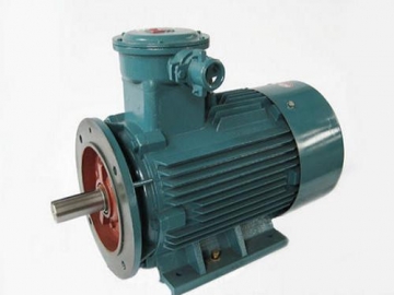 防爆電機驗收時除了銘牌外，還要注意哪些？