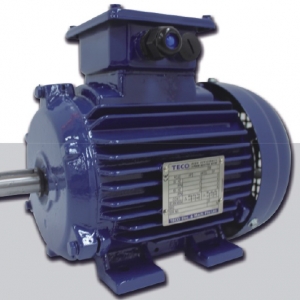 AEEV5N超超高效三相異步電機(jī)（MODEL:TEV5）