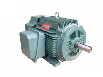 NEP系列超高效率三相異步電動機(jī)
