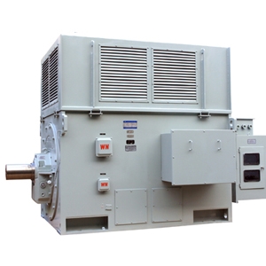 YR系列高壓三相異步電動(dòng)機(jī)