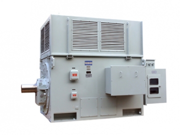 YR系列高壓三相異步電動(dòng)機(jī)