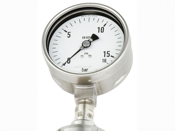 DSS19F符合EN837-1標(biāo)準(zhǔn)的壓力表，帶隔膜密封