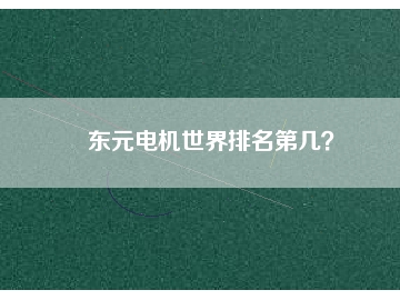 東元電機(jī)世界排名第幾？