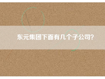 東元集團下面有幾個子公司？