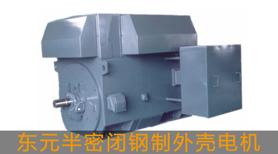 東元高壓電機(jī)半密閉鋼制外殼電機(jī)