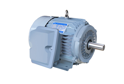 NE系列高效高轉(zhuǎn)矩三相異步電動機(jī)